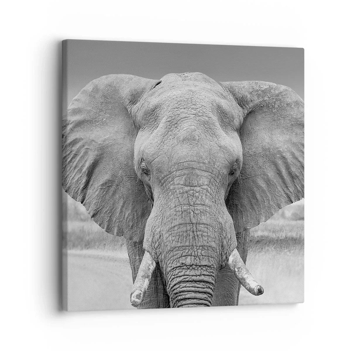 Canvastavla - Bild på duk - Välkommen till min värld - 30x30 cm