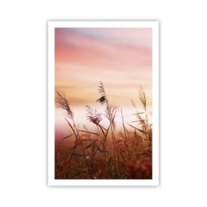 Affisch - Drakar, maskrosor, vind - 61x91 cm