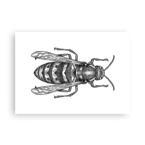 Affisch - Från insektplaneten  - 70x50 cm