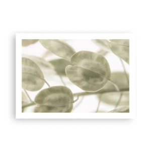 Affisch - I början fanns det löv... - 70x50 cm