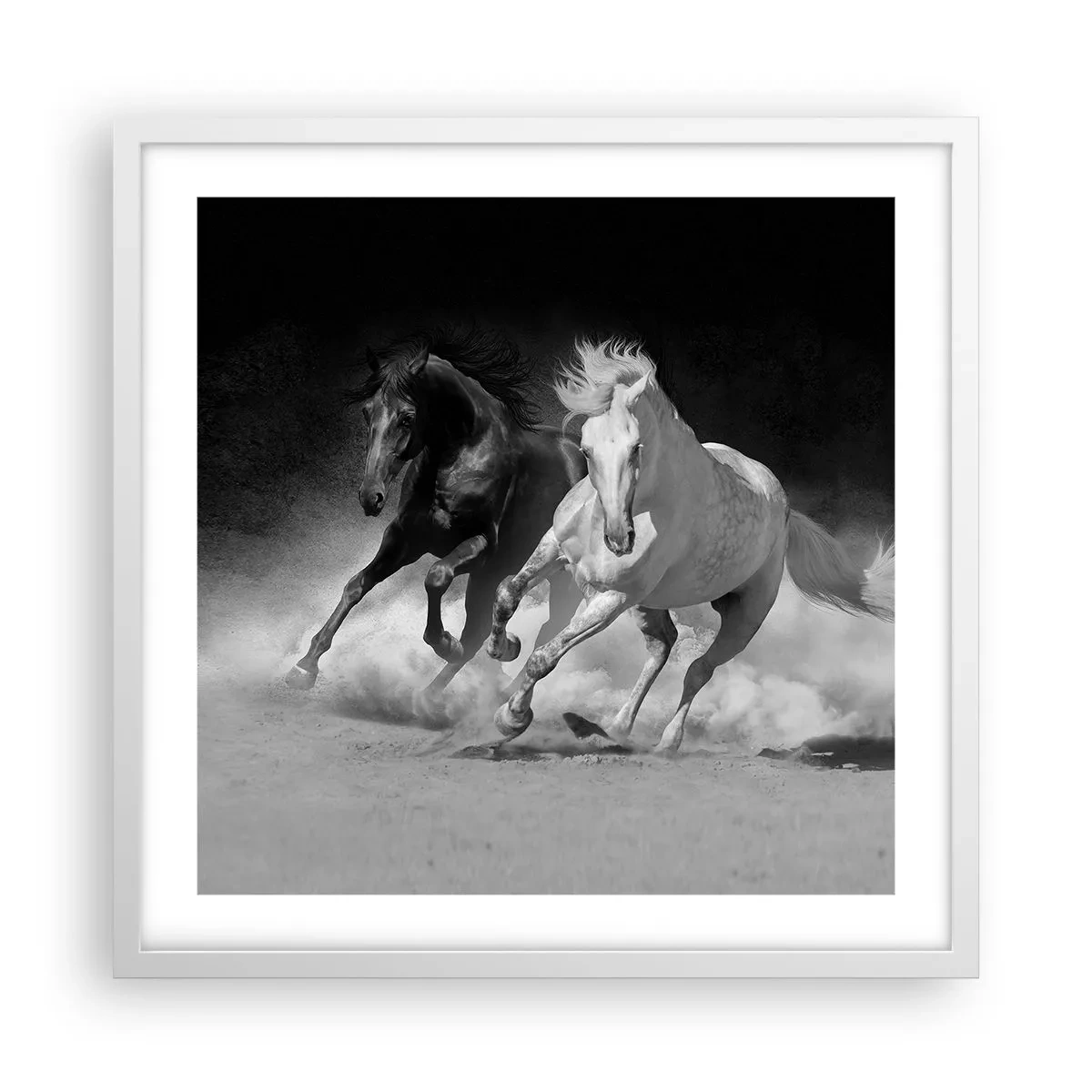 Affisch i vit ram - Frihetens galopp - 50x50 cm