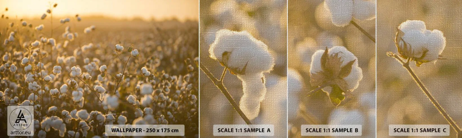 Provbit av fototapet Premium Canvas - Fluffigt fält - Bomullsfält, Asien, Natur - 100x30 cm