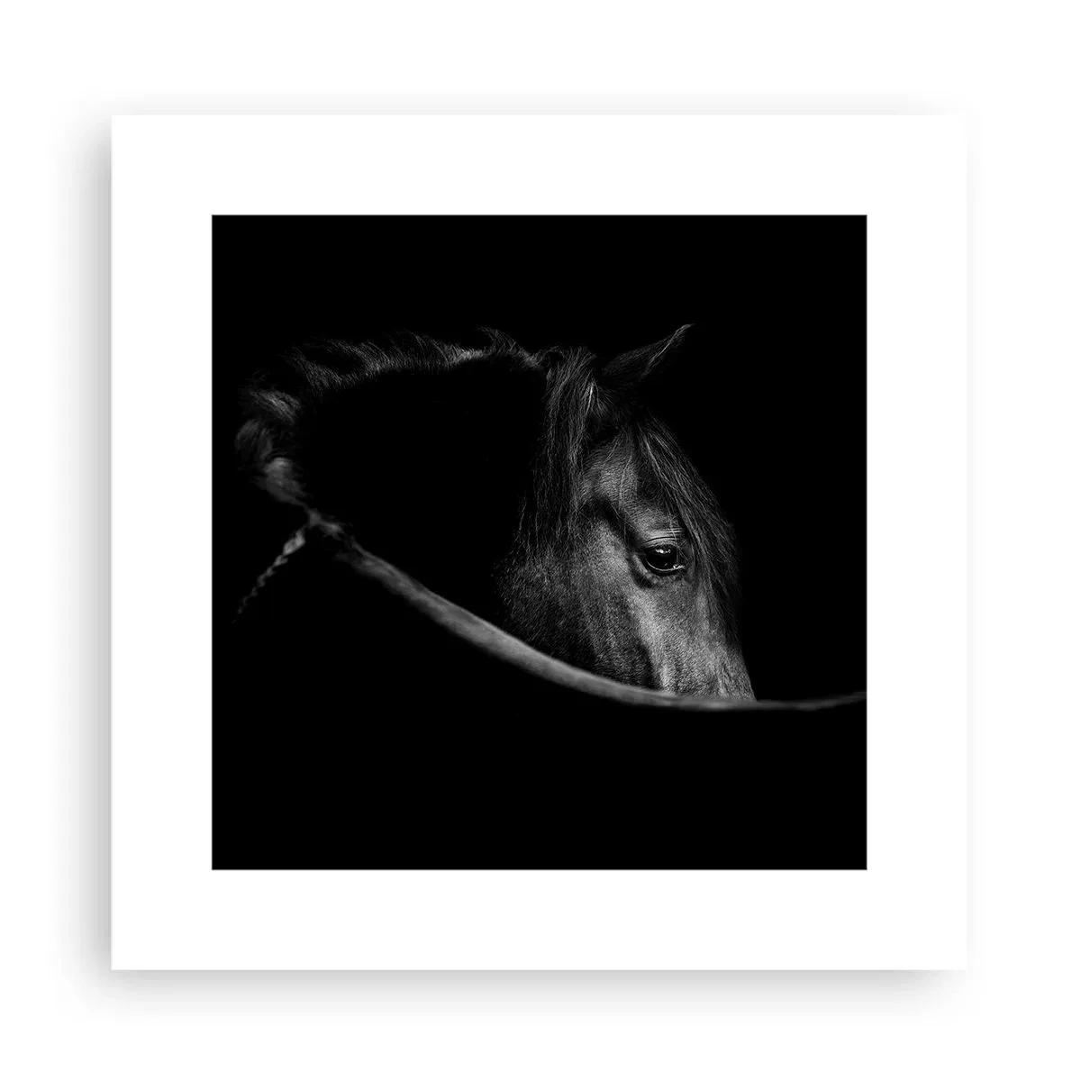 Affisch - Svart prins - 30x30 cm