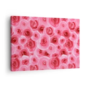 Canvastavla - Bild på duk - Fina rosor i pastellrosa nyanser - 70x50cm - Rosor upe och nere - Modern väggdekoration för vardagsrum och sovrum ARTTOR