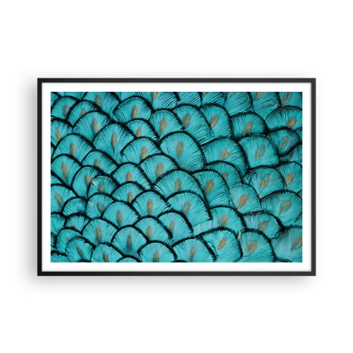 Affisch i svart ram - Den stora fjädergalan - 100x70 cm