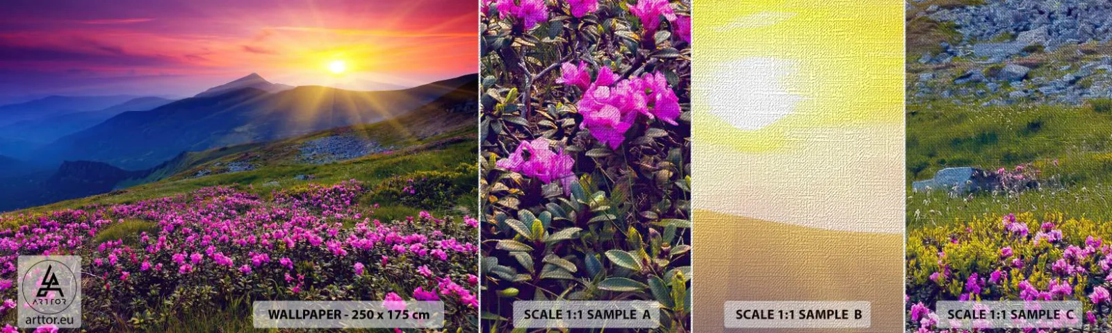 Provbit av fototapet Premium Canvas - … Bergtallen doftar och örterna luktar runt omkring - Landskap, Berg, Solnedgång - 100x30 cm