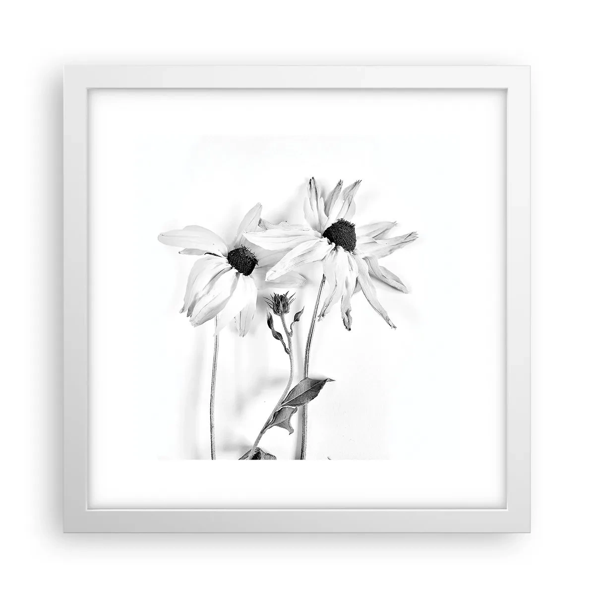 Affisch i vit ram - Ingen vill vara ensam - 30x30 cm