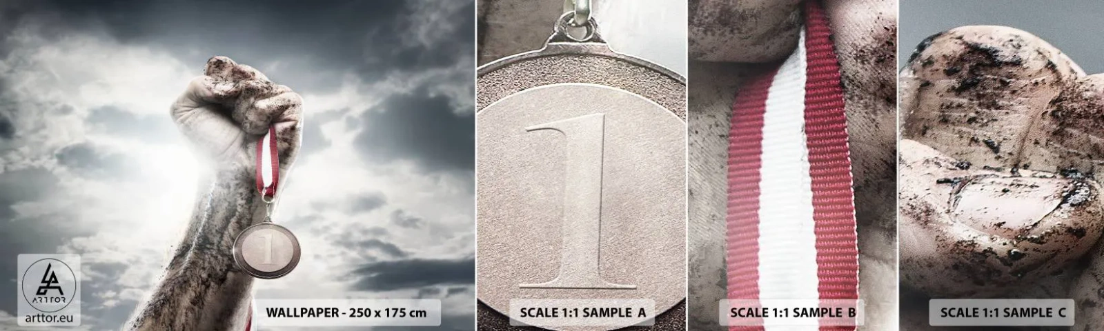 Provbit av självhäftande fototapet Deluxe Sticker - Per aspera ad astra - Sport, Idrottsmedalj, 3D - 100x30 cm