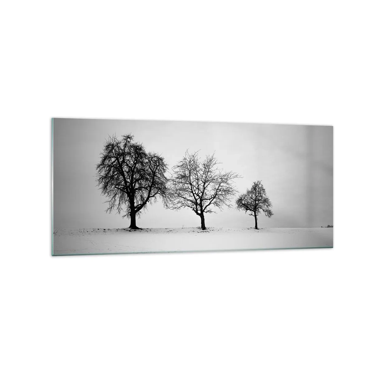 Glastavla - Bild på glas - Vad drömmer de om? - 120x50 cm