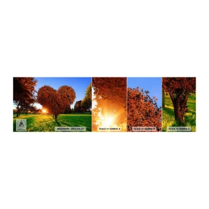 Provbit av självhäftande fototapet Deluxe Sticker - Varför vi älskar hösten - Landskap, Träd, Solens strålar - 100x30 cm