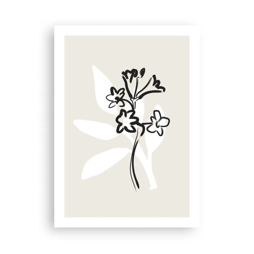 Affisch - Skiss till ett herbarium - 50x70 cm