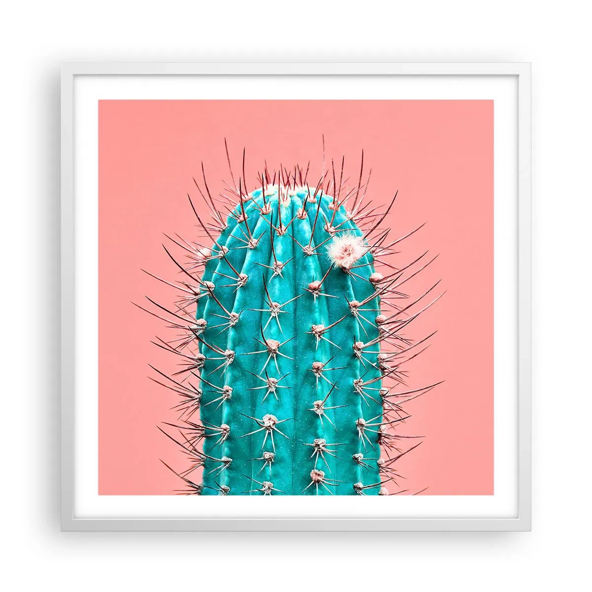 Affisch i vit ram - Titta bara - 60x60 cm