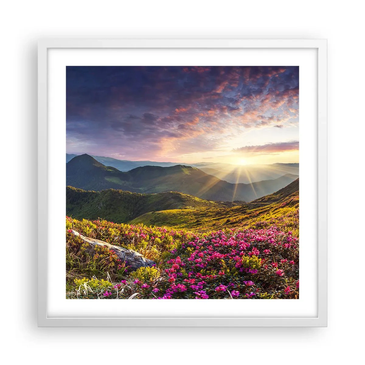 Affisch i vit ram - Fjällmorgonens fräschhet - 50x50 cm