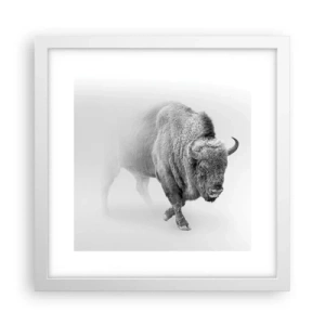 Affisch i vit ram - Präriens kung - 30x30 cm