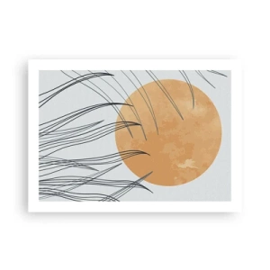 Affisch - Alltid mot solen - 70x50 cm