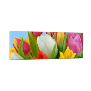Glastavla - Bild på glas - blommig regnbåge i daggdroppar - 90x30 cm