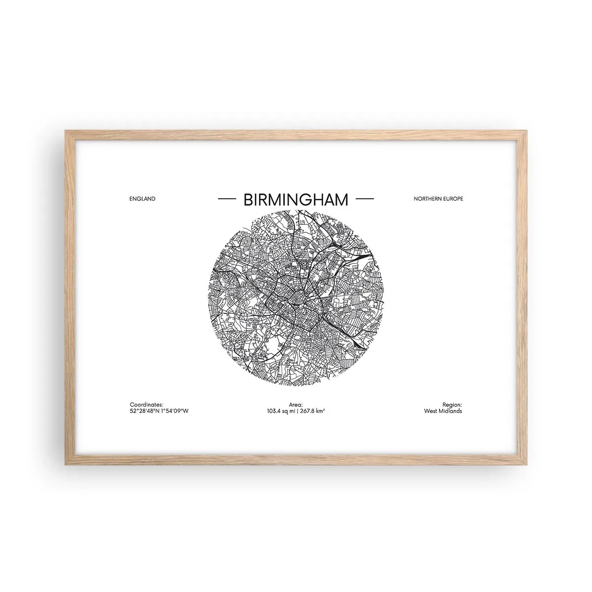 Affisch i ram av ljusek - Birminghams anatomi - 70x50 cm