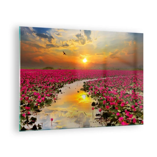 Glastavla - Bild på glas - Rosa näckrosor på en sjö vid solnedgången - 70x50cm - Sjöns hemlighetsfulla liv - Modern väggdekoration för vardagsrum och sovrum ARTTOR