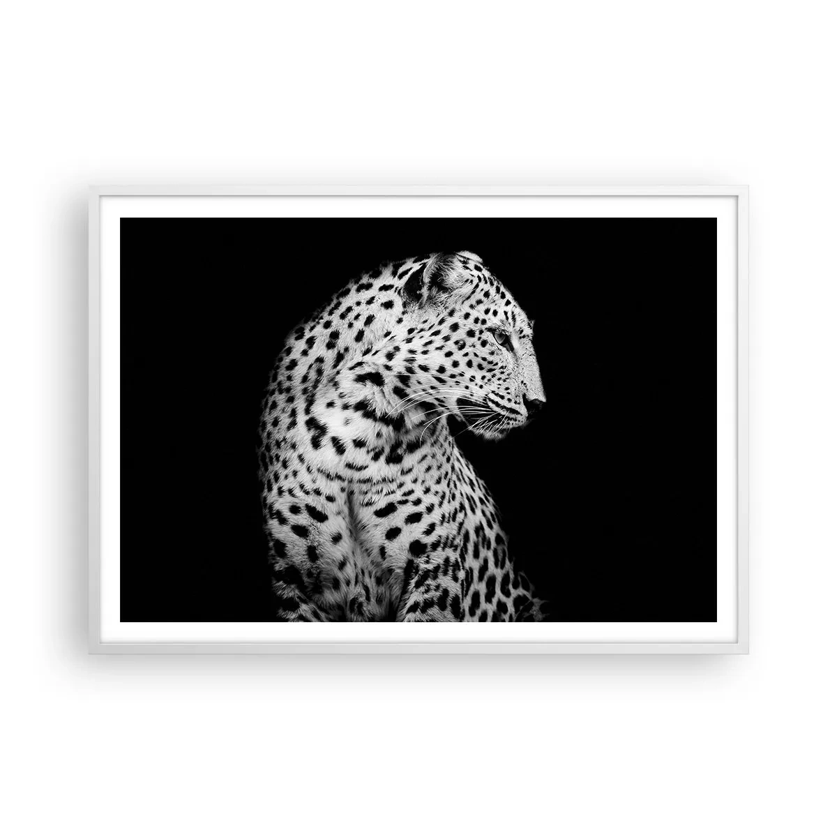 Affisch i vit ram - Perfekt höger profil! - 100x70 cm