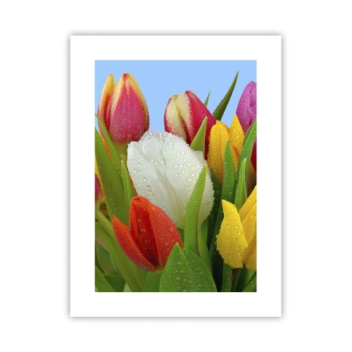 Affisch - blommig regnbåge i daggdroppar - 30x40 cm
