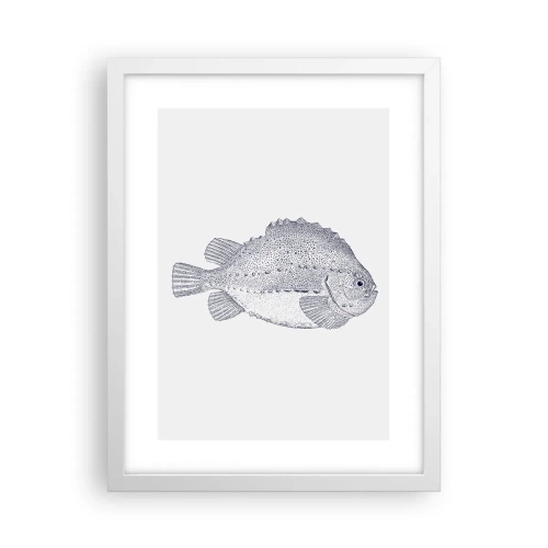 Affisch i vit ram - Till naturforskarens album - 30x40 cm