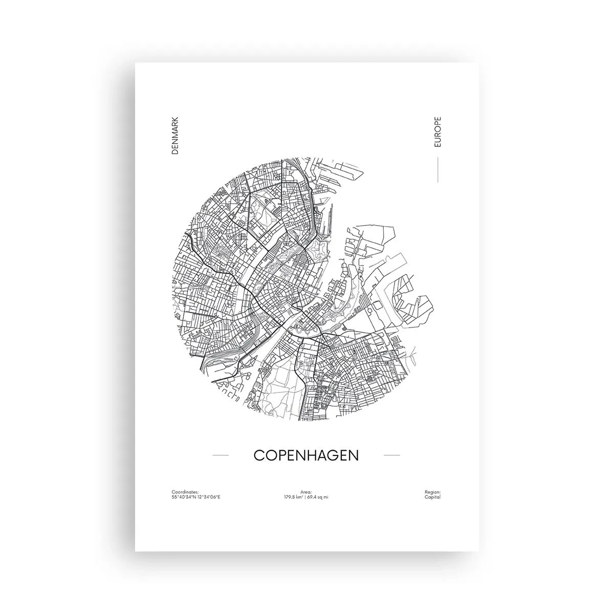 Affisch - Köpenhamns anatomi - 70x100 cm