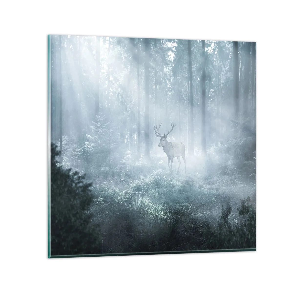 Glastavla - Bild på glas - Morgonrond runt godset - 70x70 cm