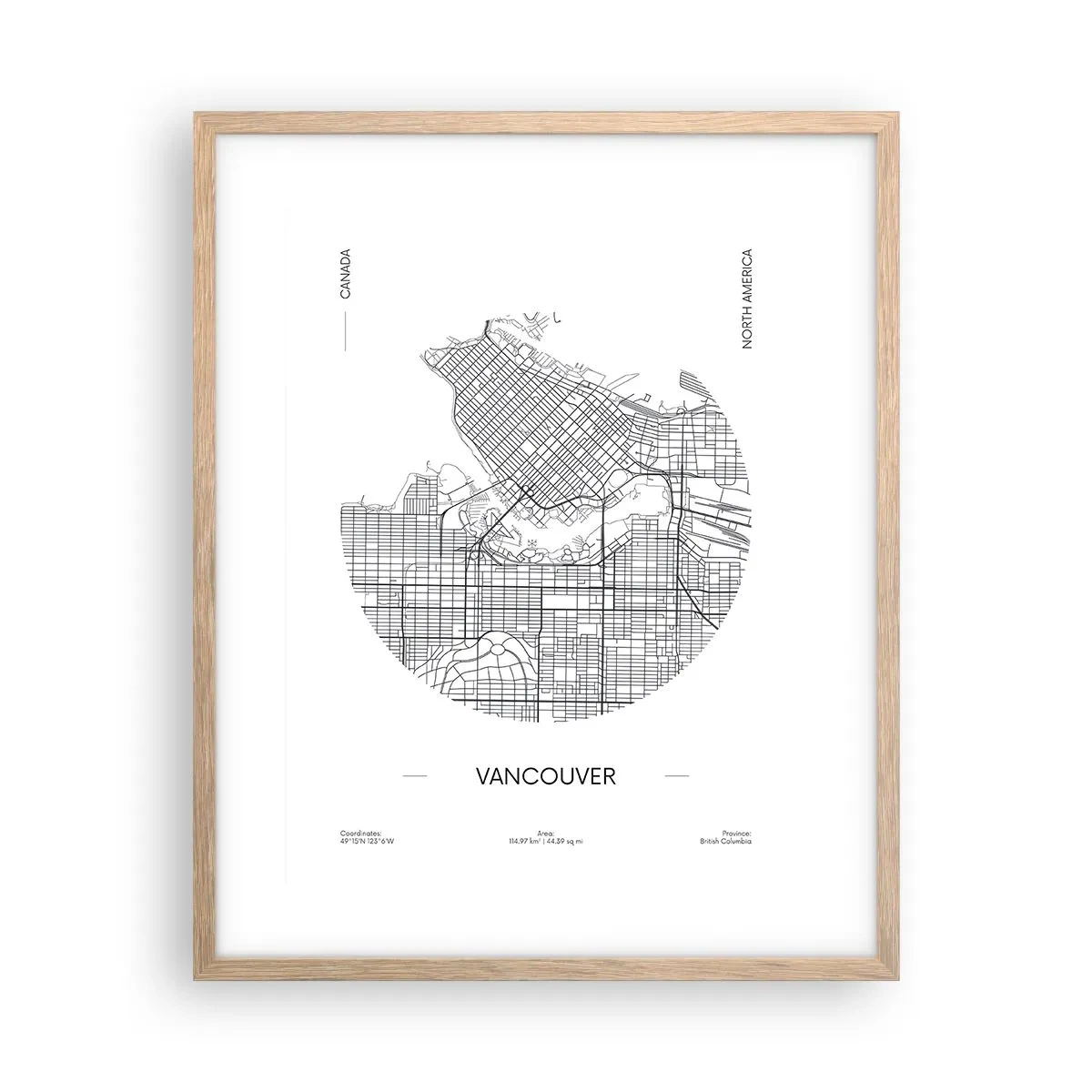 Affisch i ram av ljusek - Vacouvers anatomi - 40x50 cm