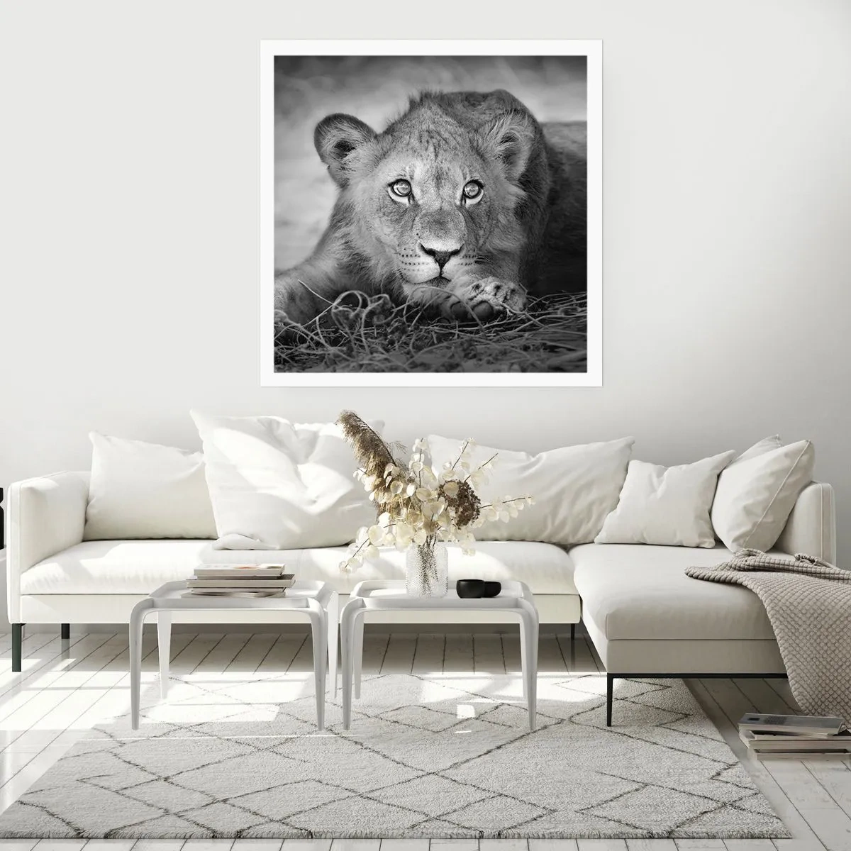 Affisch - Kunglig valp - 40x40 cm