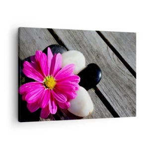 Canvastavla - Bild på duk - Rosa blomma på en bakgrund av träplankor med stenar - 70x50cm - Avkoppling på bryggan - Modern väggdekoration för vardagsrum och sovrum ARTTOR
