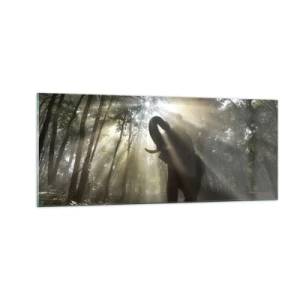 Glastavla - Bild på glas - Under en lycklig stjärna - 100x40 cm