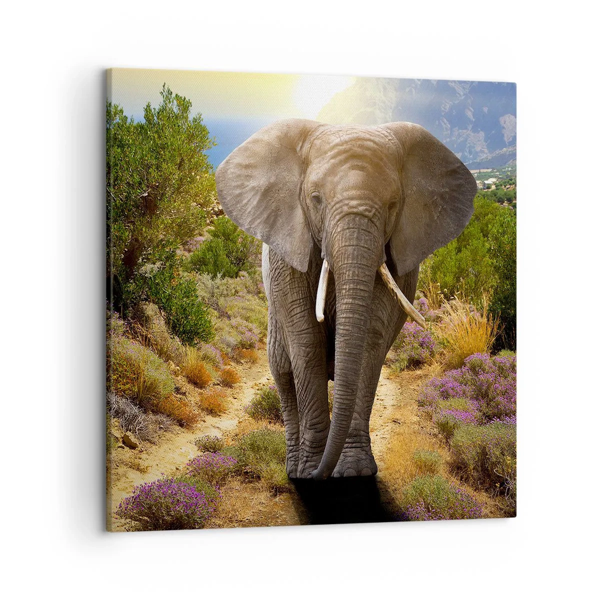 Canvastavla - Bild på duk - Så såg Edens trädgård ut - 50x50 cm