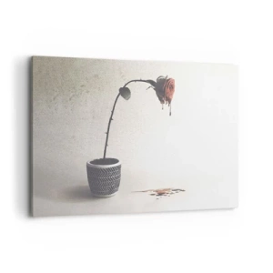 Canvastavla - Bild på duk - Rosa dolorosa - 120x80 cm