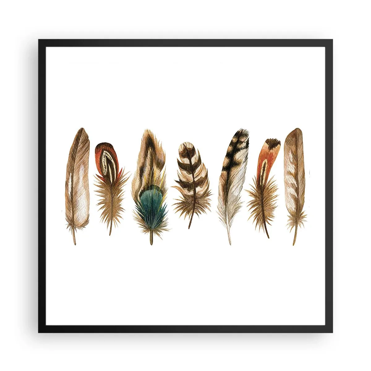 Affisch i svart ram - Fjädervariation - 60x60 cm