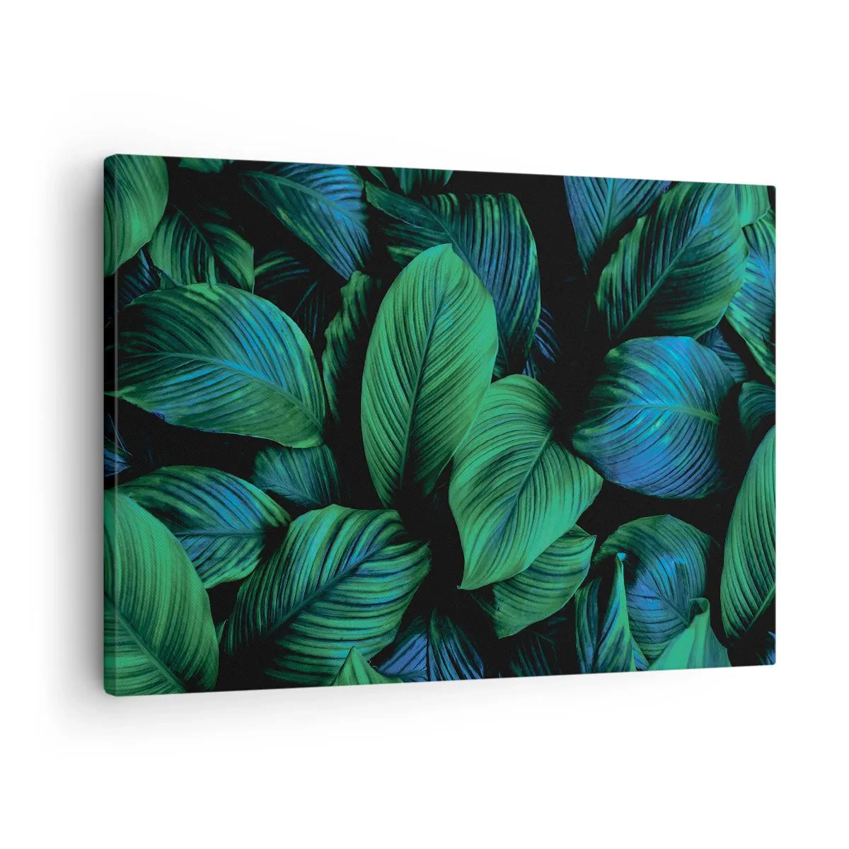 Canvastavla - Bild på duk - Gröna blad i minimalistisk stil - 70x50cm - I gröna folkmassan - Modern väggdekoration för vardagsrum och sovrum ARTTOR