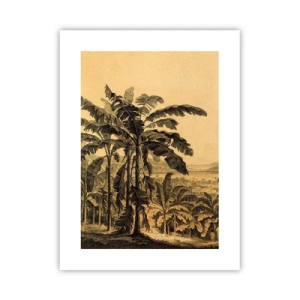 Affisch - I kolonial stämning - 30x40 cm