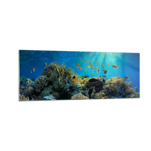 Glastavla - Bild på glas - Undervatenskatter - 140x50 cm
