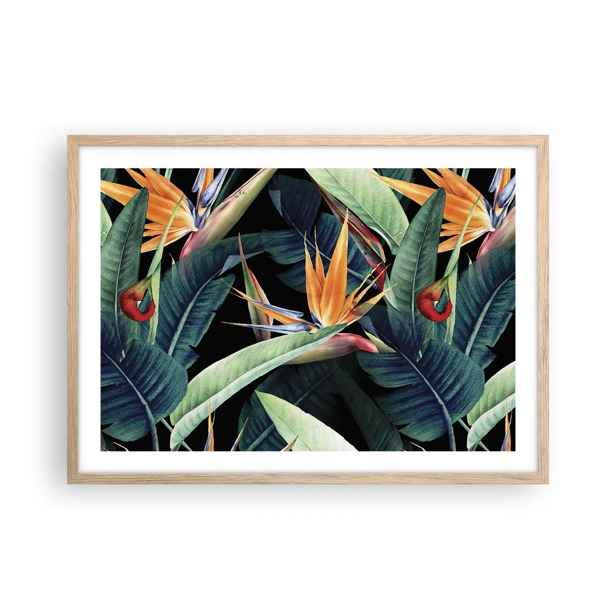 Affisch i ram av ljusek - Tropikens brinnande blommor - 70x50 cm