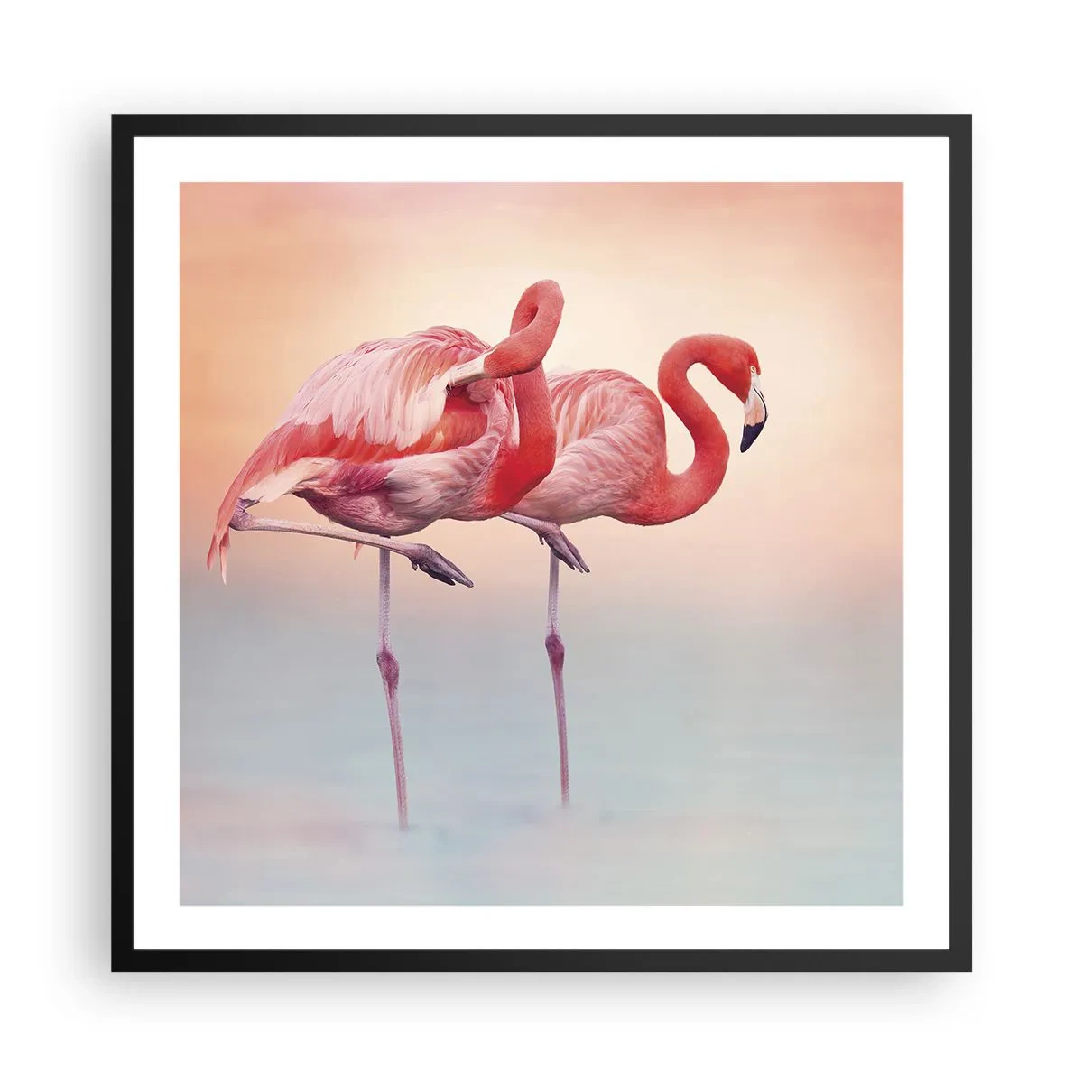 Affisch i svart ram - I solnedgångens färg - 60x60 cm