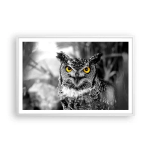 Affisch i vit ram - Inget kommer undan - 91x61 cm