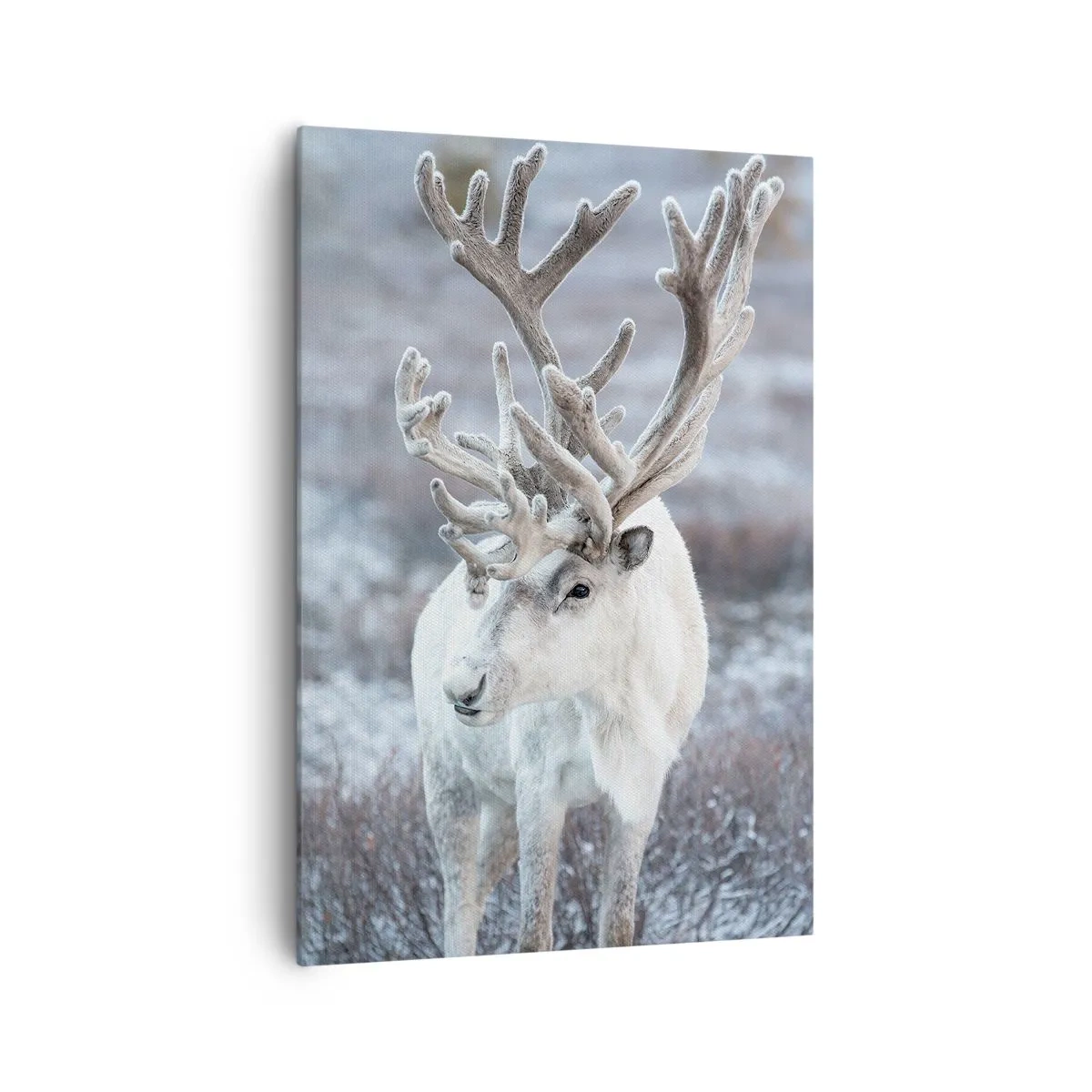 Canvastavla - Bild på duk - Porträtt i solsken - 70x100 cm