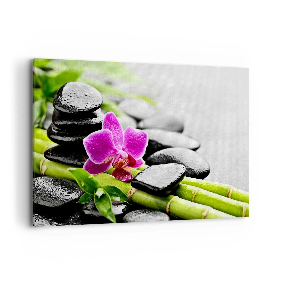 Canvastavla - Bild på duk - Lugn balans - 120x80 cm