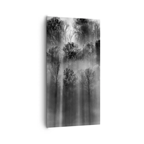 Canvastavla - Bild på duk - I ljusstrålar - 65x120 cm