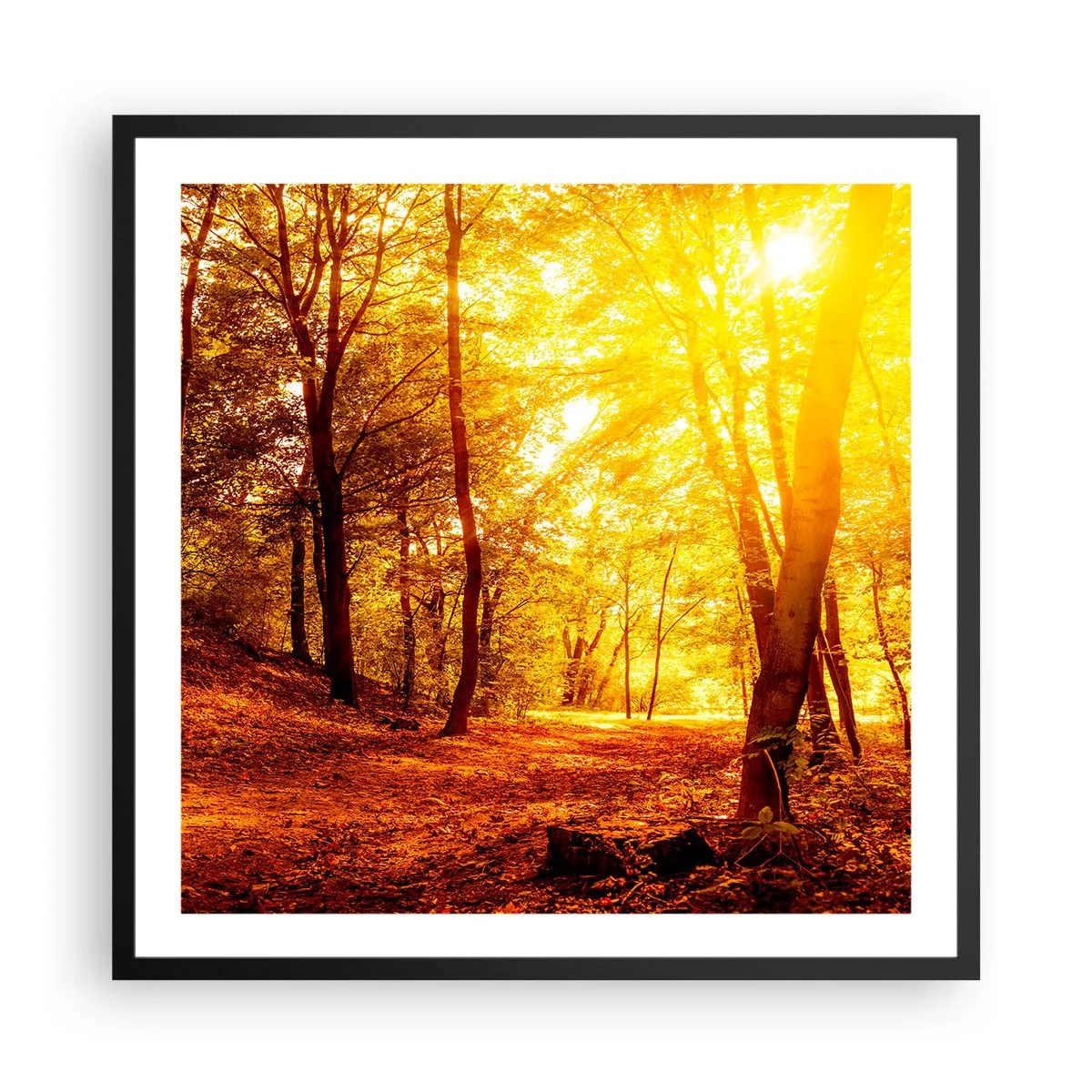 Affisch i svart ram - Mot guldgläntan - 60x60 cm