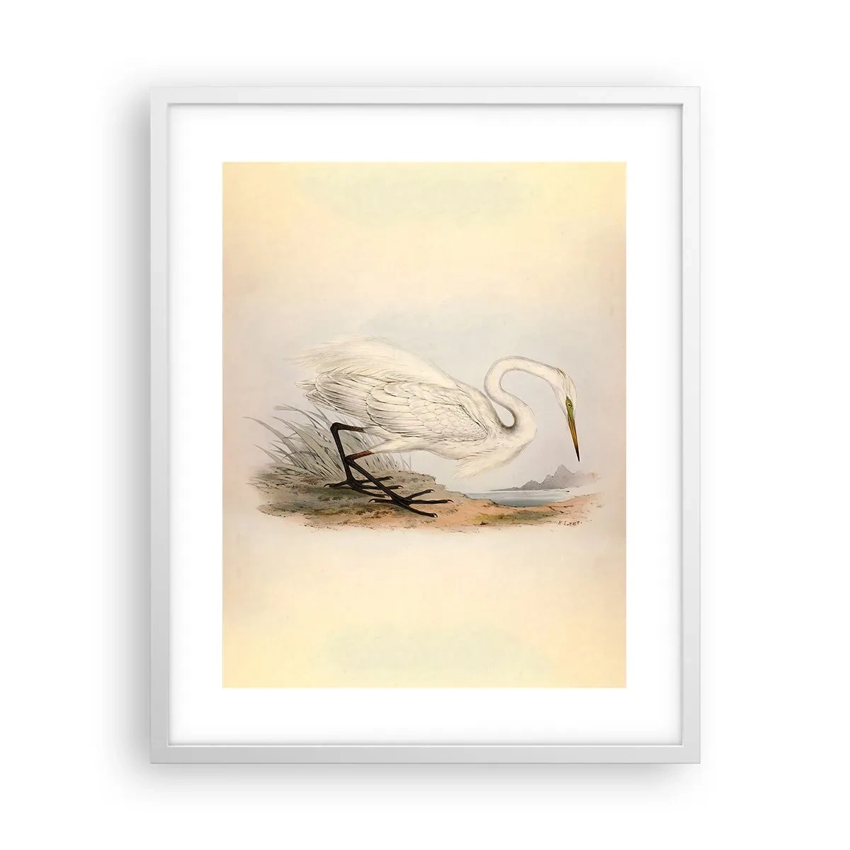 Affisch i vit ram - En dam i vassen - 40x50 cm