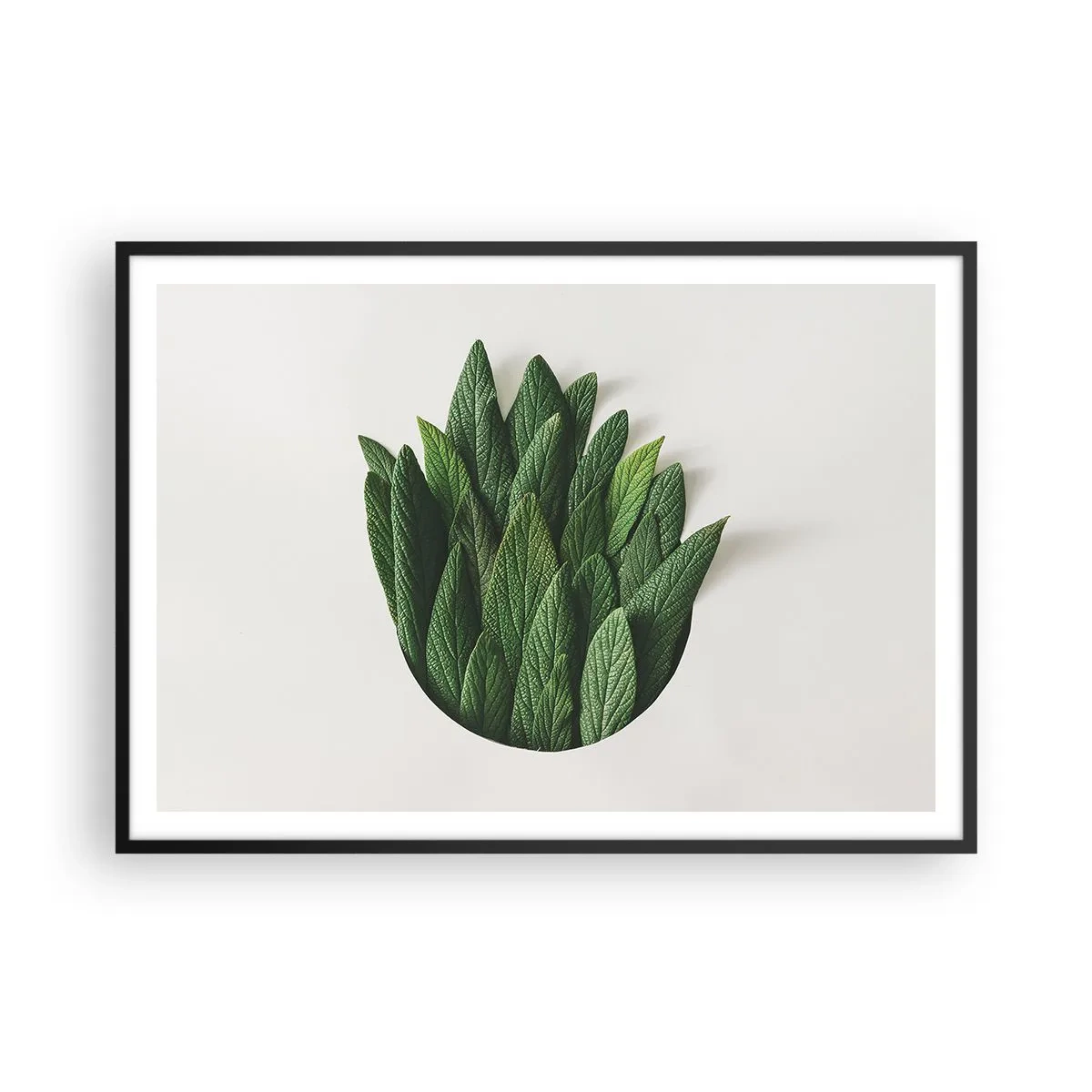 Affisch i svart ram - Ostoppbar nyfikenhet - 100x70 cm