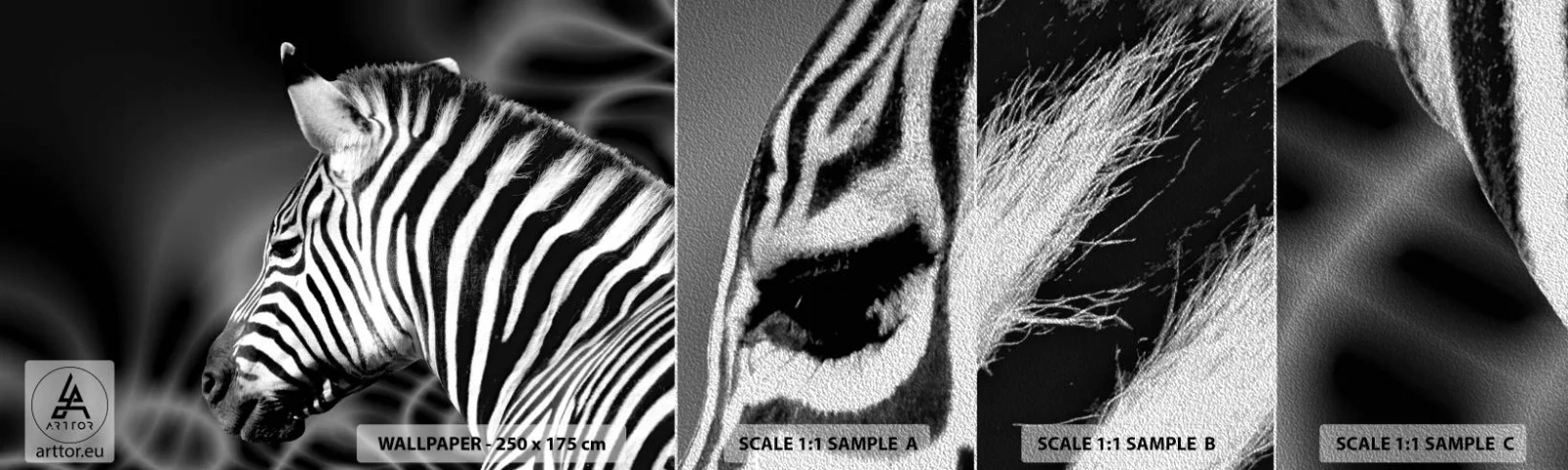 Provbit av fototapet Premium Sand - Vit är vit och svart är svart - Revben, Svartvitt, Djur - 100x30 cm