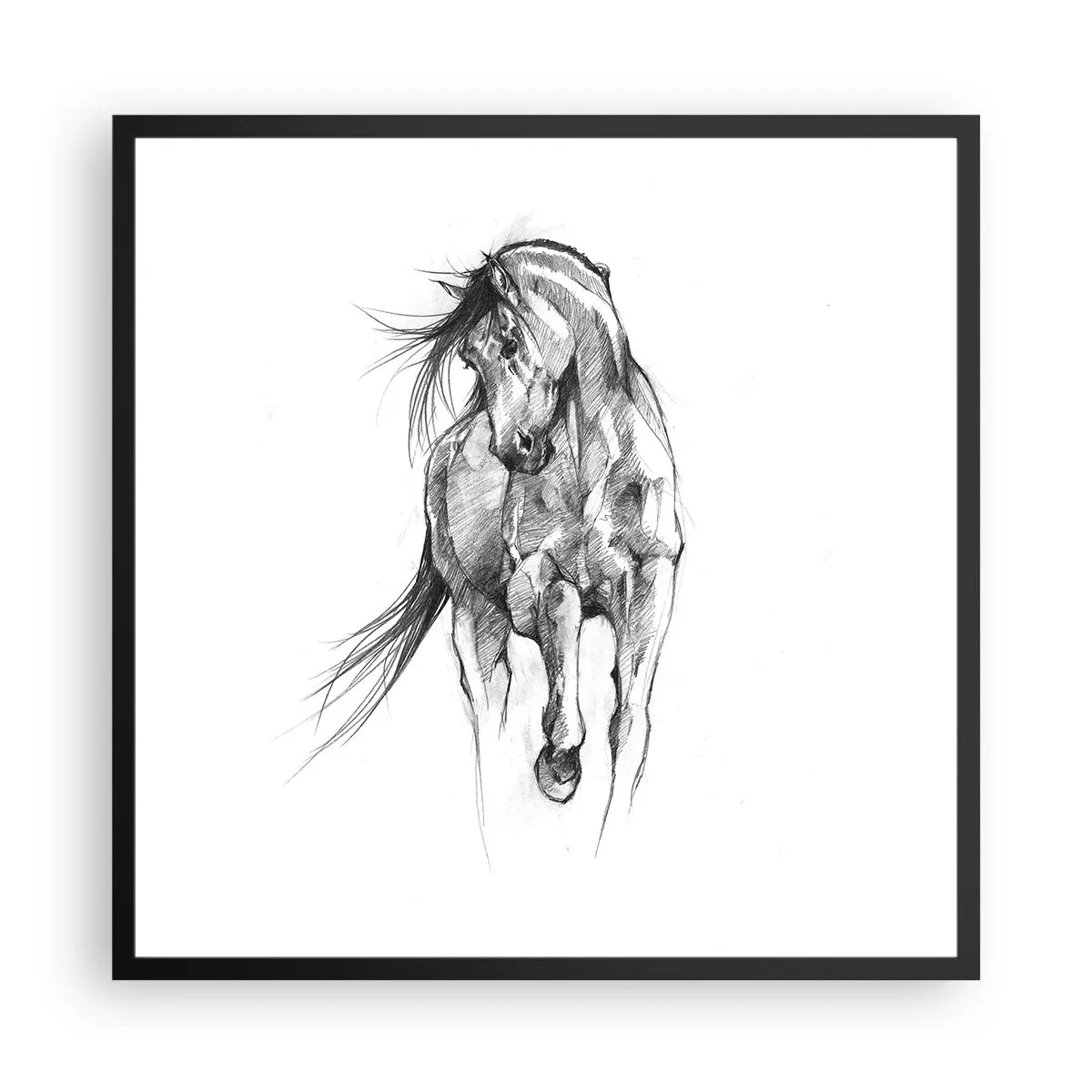 Affisch i svart ram - Elegant trav - 60x60 cm