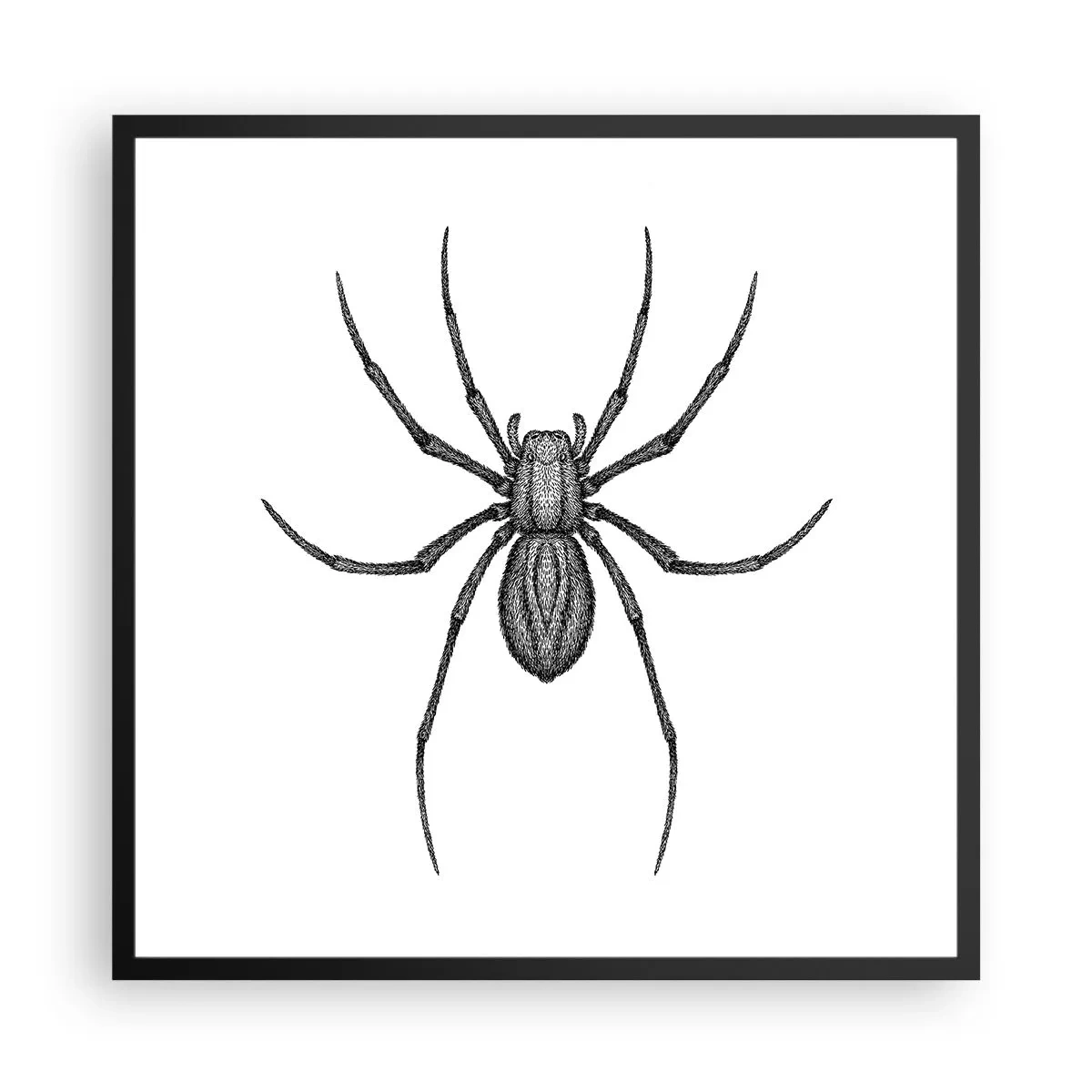 Affisch i svart ram - Oroväckande precision - 60x60 cm