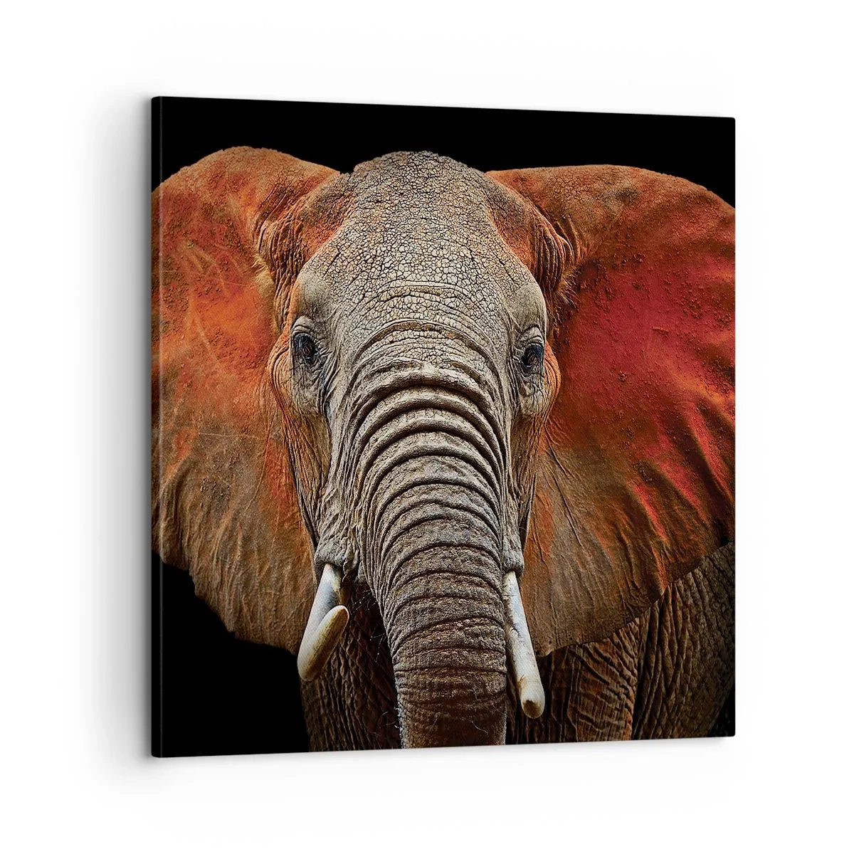 Canvastavla - Bild på duk - Jag är vild, och du? - 60x60 cm